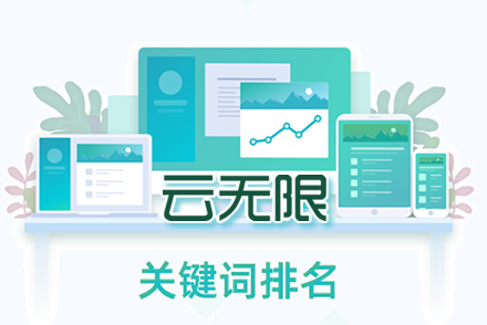 seo专业